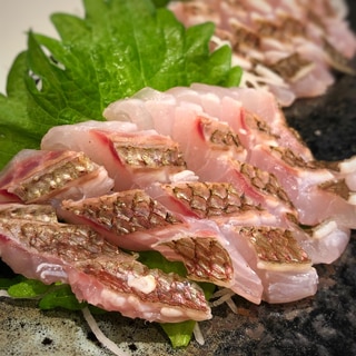 【男飯】コリコリ食感！鯛(真鯛・黒鯛)の炙り